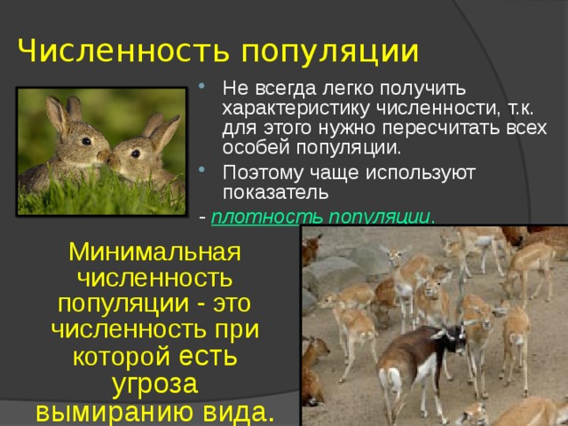 Численность популяции Не всегда легко получить характеристику численности, т.к. для этого нужно пересчитать всех особей популяции. Поэтому чаще используют показатель - плотность популяции .  Минимальная численность популяции - это численность при которой есть угроза вымиранию вида. 