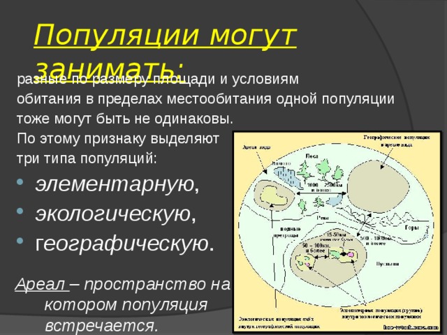 Популяции могут занимать: разные по размеру площади и условиям обитания в пределах местообитания одной популяции тоже могут быть не одинаковы. По этому признаку выделяют три типа популяций: элементарную , экологическую , г еографическую . Ареал – пространство на котором популяция встречается.  