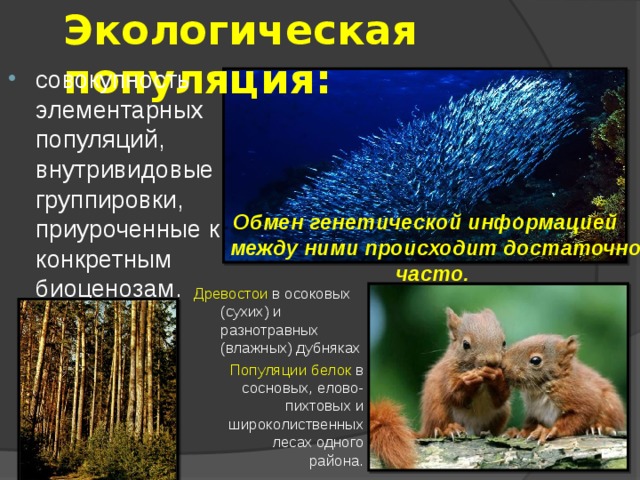 Экологическая популяция: совокупность элементарных популяций, внутривидовые группировки, приуроченные к конкретным биоценозам.  Обмен генетической информацией между ними происходит достаточно часто. Древостои в осоковых (сухих) и разнотравных (влажных) дубняках Популяции белок в сосновых, елово-пихтовых и широколиственных лесах одного района. 