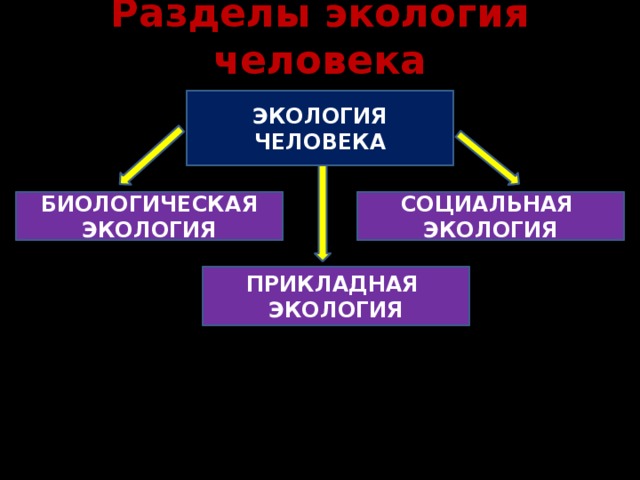 Разделы экология человека ЭКОЛОГИЯ ЧЕЛОВЕКА СОЦИАЛЬНАЯ БИОЛОГИЧЕСКАЯ ЭКОЛОГИЯ ЭКОЛОГИЯ ПРИКЛАДНАЯ ЭКОЛОГИЯ  