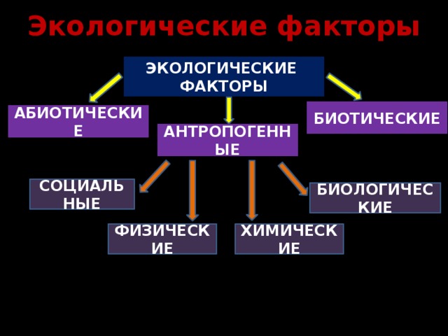 Экологические факторы ЭКОЛОГИЧЕСКИЕ ФАКТОРЫ БИОТИЧЕСКИЕ АБИОТИЧЕСКИЕ АНТРОПОГЕННЫЕ СОЦИАЛЬНЫЕ БИОЛОГИЧЕСКИЕ ХИМИЧЕСКИЕ ФИЗИЧЕСКИЕ  