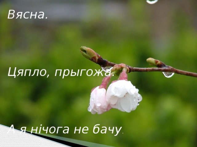 Вясна.    Цяпло, прыгожа.    А я нічога не бачу . 