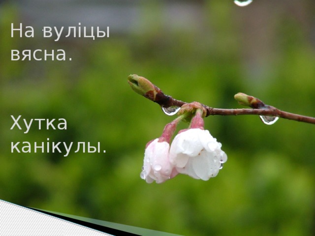 На вуліцы вясна. Хутка канікулы. . 