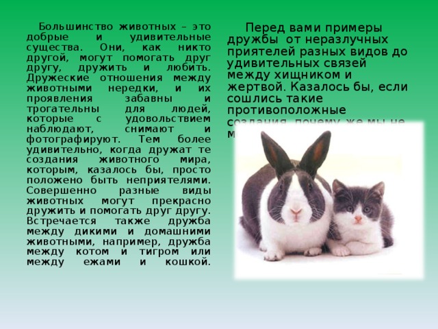Большинство животных – это добрые и удивительные существа. Они, как никто другой, могут помогать друг другу, дружить и любить. Дружеские отношения между животными нередки, и их проявления забавны и трогательны для людей, которые с удовольствием наблюдают, снимают и фотографируют. Тем более удивительно, когда дружат те создания животного мира, которым, казалось бы, просто положено быть неприятелями. Совершенно разные виды животных могут прекрасно дружить и помогать друг другу. Встречается также дружба между дикими и домашними животными, например, дружба между котом и тигром или между ежами и кошкой.   Перед вами примеры дружбы от неразлучных приятелей разных видов до удивительных связей между хищником и жертвой. Казалось бы, если сошлись такие противоположные создания, почему же мы не можем жить в мире? 