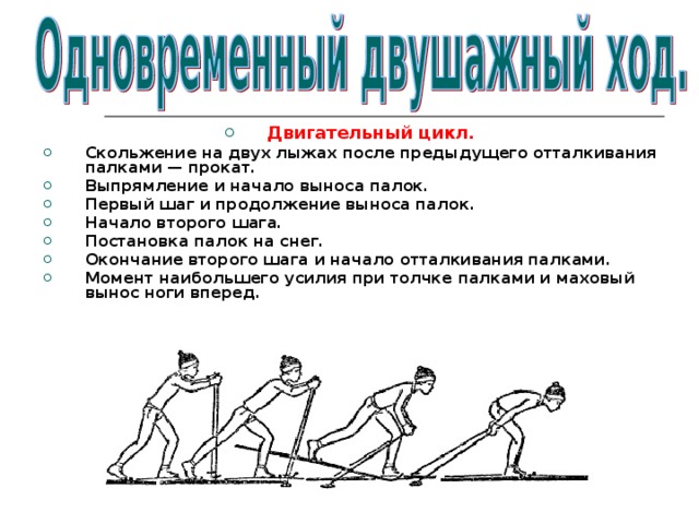 Двигательный цикл. Скольжение на двух лыжах после предыдущего отталкивания палками — прокат. Выпрямление и начало выноса палок. Первый шаг и продолжение выноса палок. Начало второго шага. Постановка палок на снег. Окончание второго шага и начало отталкивания палками. Момент наибольшего усилия при толчке палками и маховый  вынос ноги вперед.  