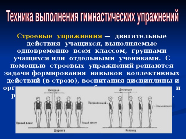 Строевые упражнения — двигательные действия учащихся, выполняемые одновременно всем классом, группами учащихся или отдельными учениками. С помощью строевых упражнений решаются задачи формирования навыков коллективных действий (в строю), воспитания дисциплины и организованности, выработки чувства темпа и ритма, формирования правильной осанки. 