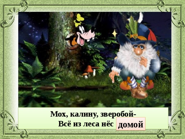 Мох, калину, зверобой- Всё из леса нёс … . домой 