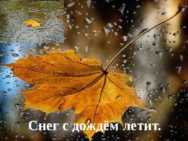 Снег с дождём летит.