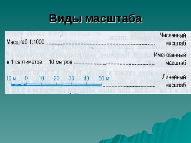 Виды масштаба