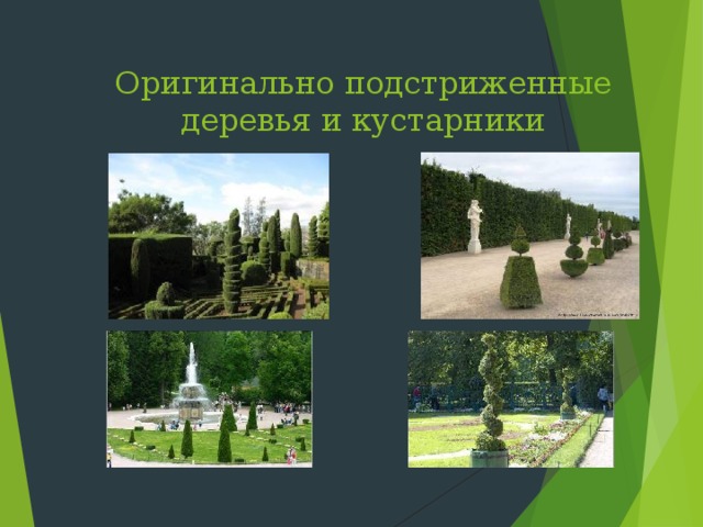 Оригинально подстриженные деревья и кустарники 