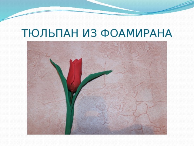 ТЮЛЬПАН ИЗ ФОАМИРАНА 