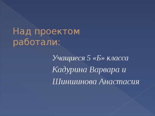 Над проектом работали: Учащиеся 5 «Б» класса Кадурина Варвара и Шиншинова Анастасия 