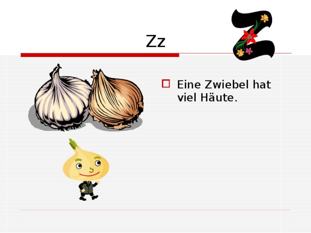 Zz Eine Zwiebel hat viel Häute. 