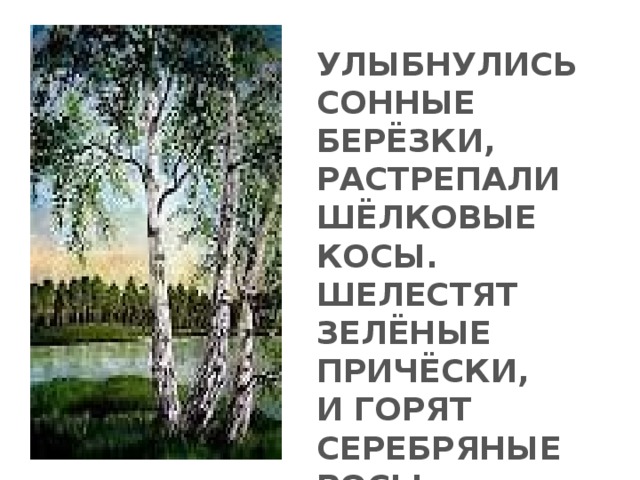УЛЫБНУЛИСЬ СОННЫЕ БЕРЁЗКИ, РАСТРЕПАЛИ ШЁЛКОВЫЕ КОСЫ. ШЕЛЕСТЯТ ЗЕЛЁНЫЕ ПРИЧЁСКИ, И ГОРЯТ СЕРЕБРЯНЫЕ РОСЫ .  С.А.Есенин 