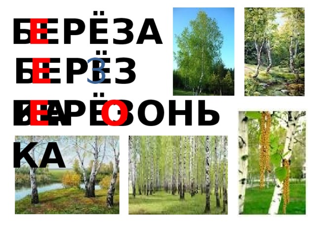 Е БЕРЁЗА БЕРЁЗКА Е З БЕРЁЗОНЬКА Е О 