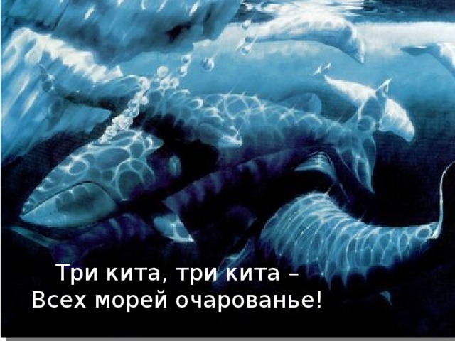 Три кита, три кита –  Всех морей очарованье!