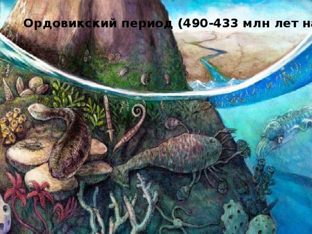Ордовикский период (490-433 млн лет назад) 