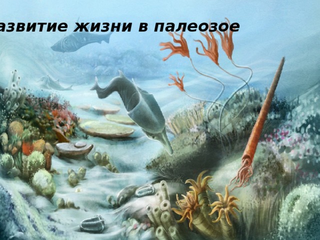 Развитие жизни в палеозое 