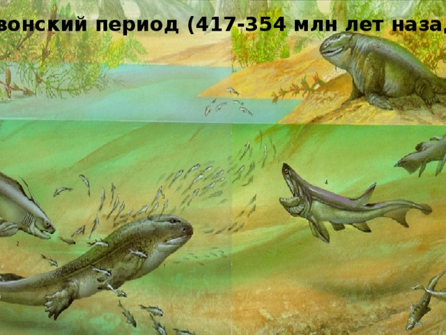 Девонский период (417-354 млн лет назад) 