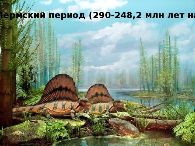 Пермский период (290-248,2 млн лет назад) 