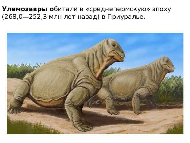 Улемозавры о битали в «среднепермскую» эпоху (268,0—252,3 млн лет назад) в Приуралье. 