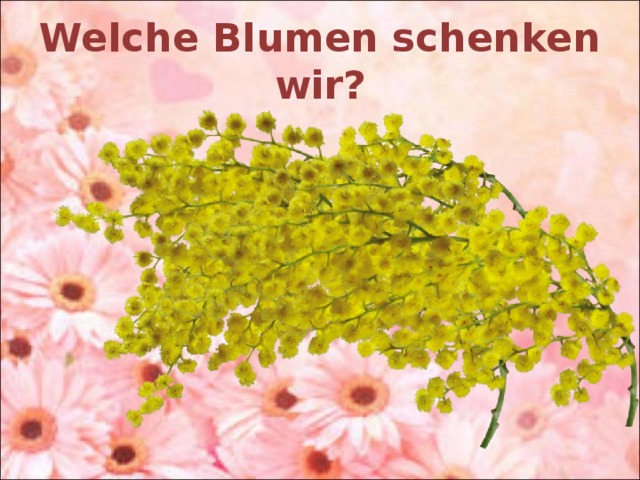 Welche Blumen schenken wir? 