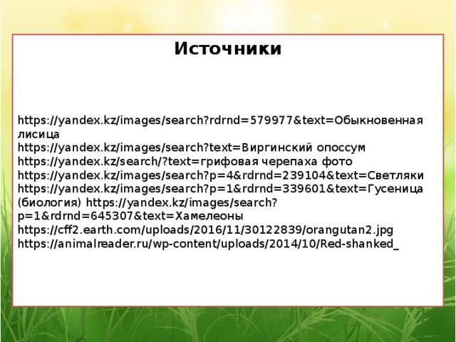Источники https://yandex.kz/images/search?rdrnd=579977&text=Обыкновенная лисица https://yandex.kz/images/search?text=Виргинский опоссум https://yandex.kz/search/?text=грифовая черепаха фото https://yandex.kz/images/search?p=4&rdrnd=239104&text=Светляки https://yandex.kz/images/search?p=1&rdrnd=339601&text=Гусеница (биология) https://yandex.kz/images/search?p=1&rdrnd=645307&text=Хамелеоны https://cff2.earth.com/uploads/2016/11/30122839/orangutan2.jpg https://animalreader.ru/wp-content/uploads/2014/10/Red-shanked_ 