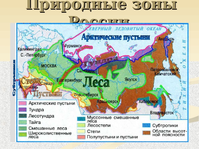 Природные зоны России 