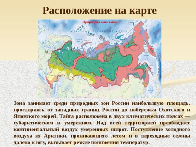 Расположение на карте Зона занимает среди природных зон России наибольшую площадь, простираясь от западных границ России до побережья Охотского и Японского морей. Тайга расположена в двух климатических поясах — субарктическом и умеренном. Над всей территорией преобладает континентальный воздух умеренных широт. Поступление холодного воздуха из Арктики, проникающего летом и в переходные сезоны далеко к югу, вызывает резкие понижения температур. 