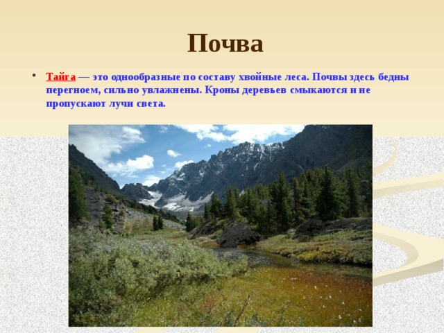 Почва Тайга  — это однообразные по составу хвойные леса. Почвы здесь бедны перегноем, сильно увлажнены. Кроны деревьев смыкаются и не пропускают лучи света.  