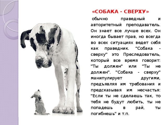 «СОБАКА - СВЕРХУ» обычно праведный и авторитетный преподаватель. Он знает все лучше всех. Он иногда бывает прав, но всегда во всех ситуациях ведет себя как праведник. 