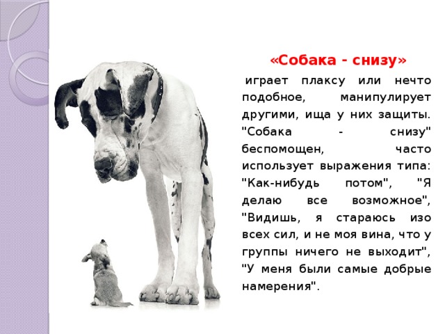 «Собака - снизу» играет плаксу или нечто подобное, манипулирует другими, ища у них защиты. 