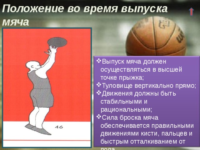 Положение во время выпуска мяча Выпуск мяча должен осуществляться в высшей точке прыжка; Туловище вертикально прямо; Движения должны быть стабильными и рациональными; Сила броска мяча обеспечивается правильными движениями кисти, пальцев и быстрым отталкиванием от пола. 