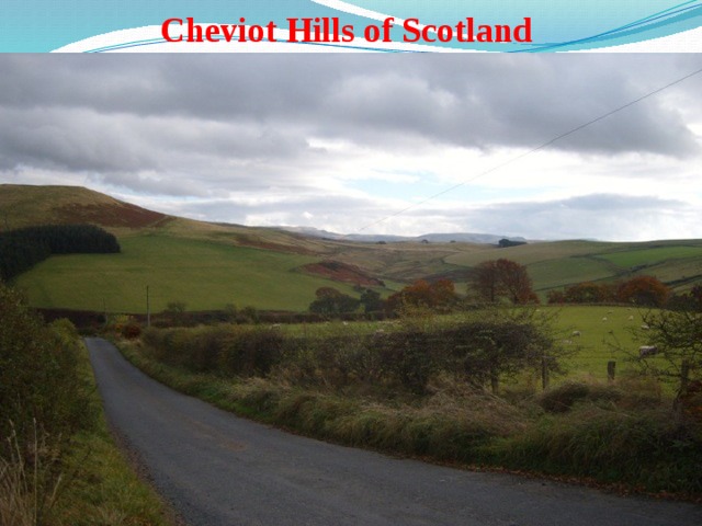 Cheviot Hills of Scotland 
