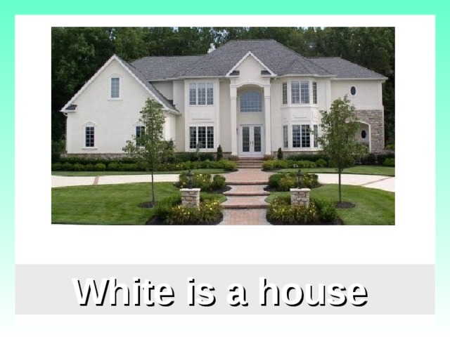White is a house  