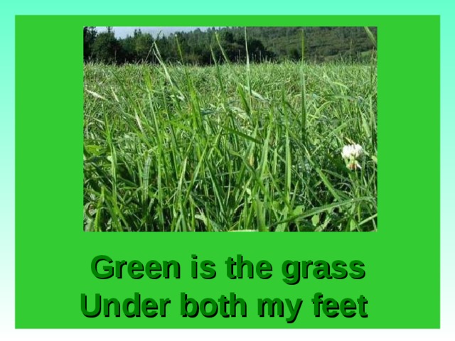 Green is the grass Under both my feet   