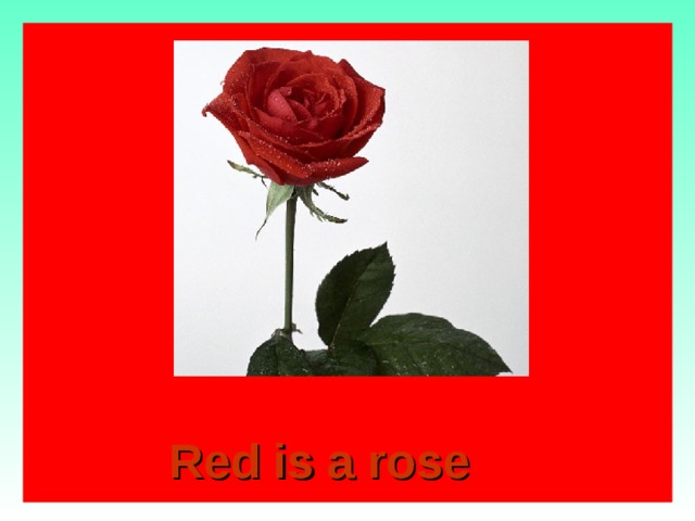 Red is a rose Red is a rose Red is a rose Red is a rose Red is a rose  