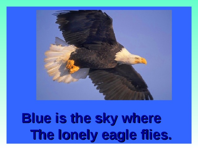 Blue is the sky where The lonely eagle flies.  
