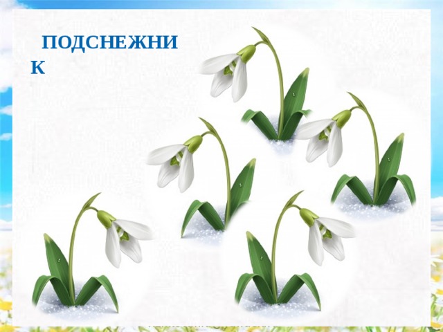 ПОДСНЕЖНИК rizhkova.ira@yandex.ru