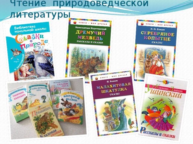 Чтение природоведческой литературы 