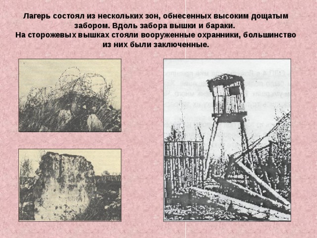 Лагерь состоял из нескольких зон, обнесенных высоким дощатым забором. Вдоль забора вышки и бараки. На сторожевых вышках стояли вооруженные охранники, большинство из них были заключенные. 