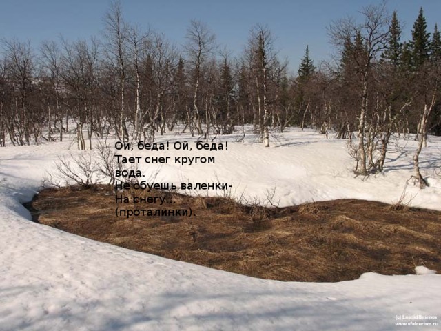 Ой, беда! Ой, беда! Тает снег кругом вода. Не обуешь валенки- На снегу… (проталинки). 