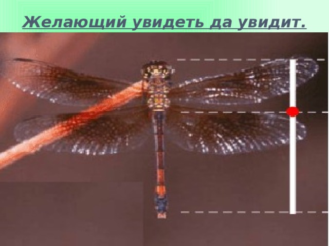 Желающий увидеть да увидит.   