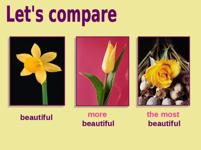 more the most  beautiful beautiful beautiful 