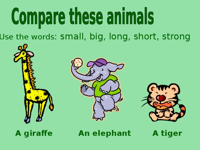 Use the words : small, big, long, short, strong A giraffe An elephant A tiger 