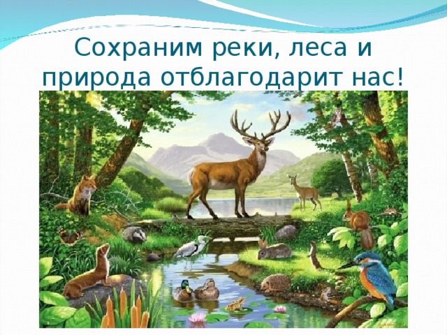 Сохраним реки, леса и природа отблагодарит нас! 
