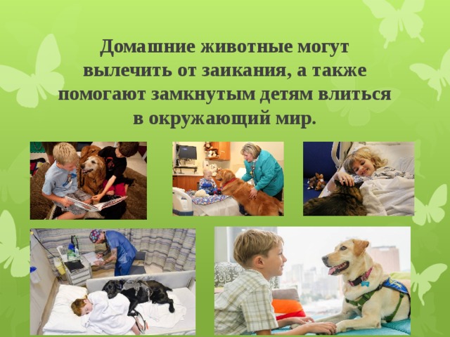 Домашние животные могут вылечить от заикания, а также помогают замкнутым детям влиться в окружающий мир.   