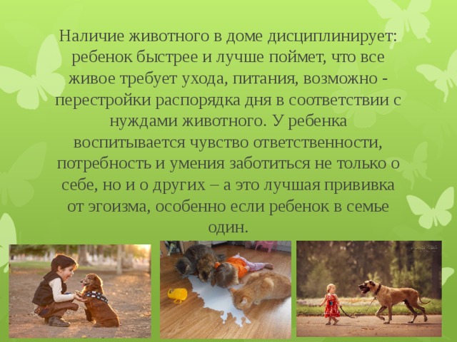 Наличие животного в доме дисциплинирует: ребенок быстрее и лучше поймет, что все живое требует ухода, питания, возможно - перестройки распорядка дня в соответствии с нуждами животного. У ребенка воспитывается чувство ответственности, потребность и умения заботиться не только о себе, но и о других – а это лучшая прививка от эгоизма, особенно если ребенок в семье один.   