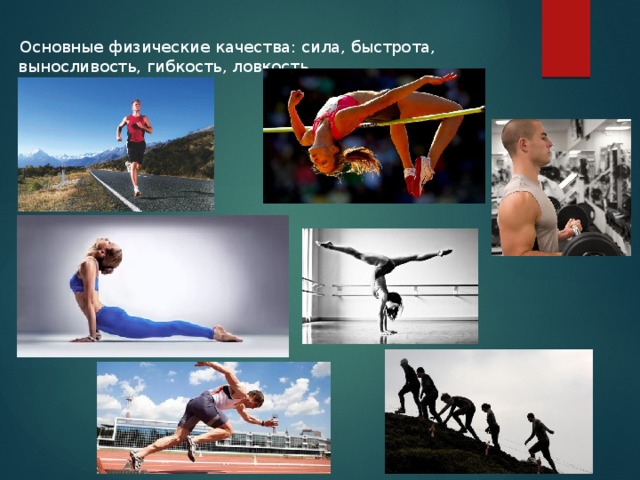  Основные физические качества: сила, быстрота, выносливость, гибкость, ловкость. 