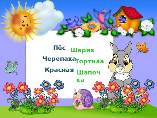Пёс Черепаха Красная Шарик Тортила Шапочка 